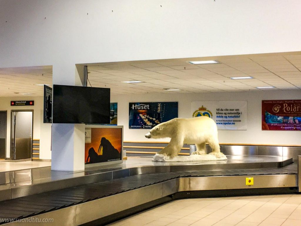 Welcomed by Iorek Byrnison at Longyearbyen airport