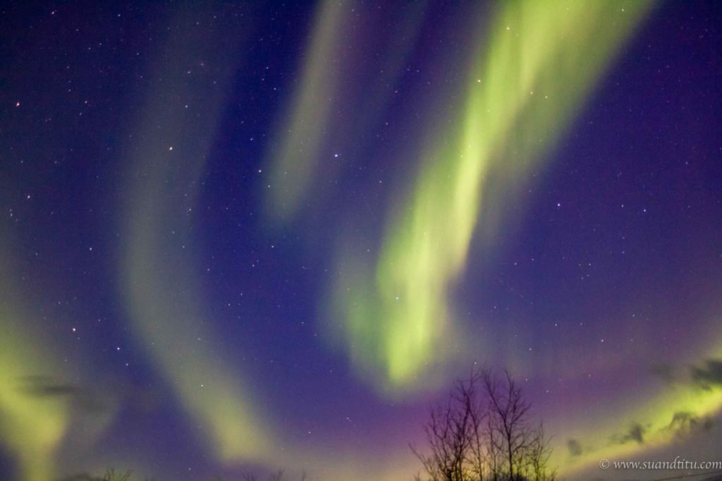 Varied colours of the auroras
