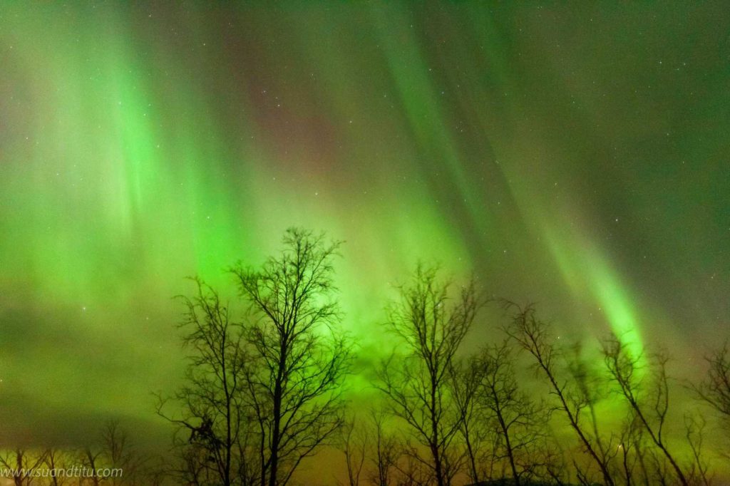Blazing Sky in Abisko, Sweden