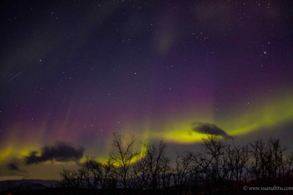 Nothing beats the northern lights experience