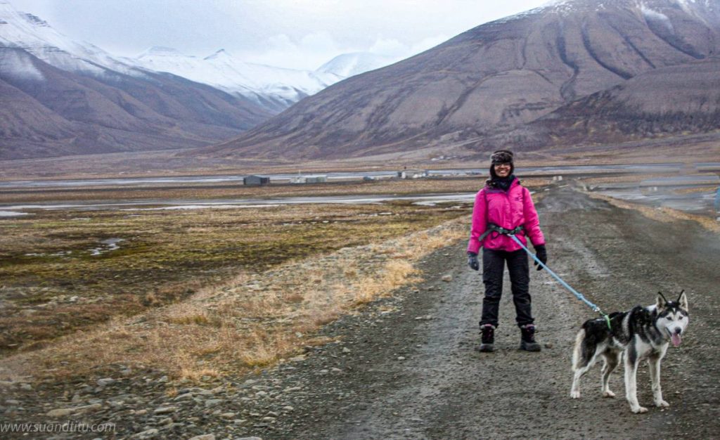 Lost in the Arctic beauty