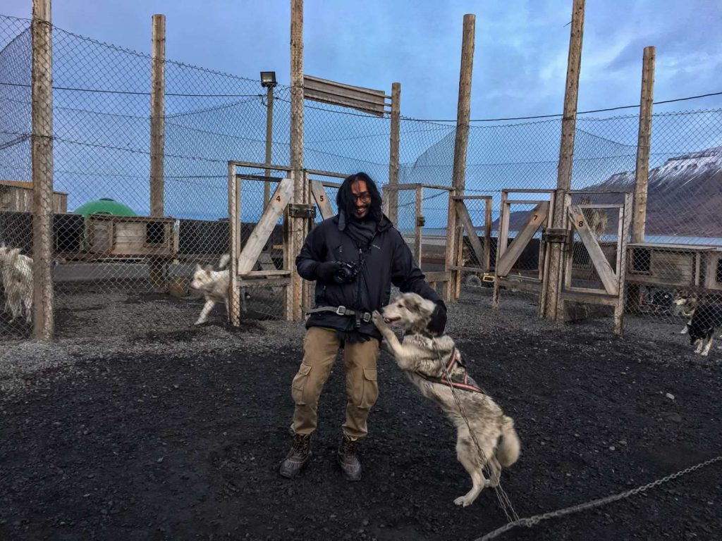 Playing with huskies