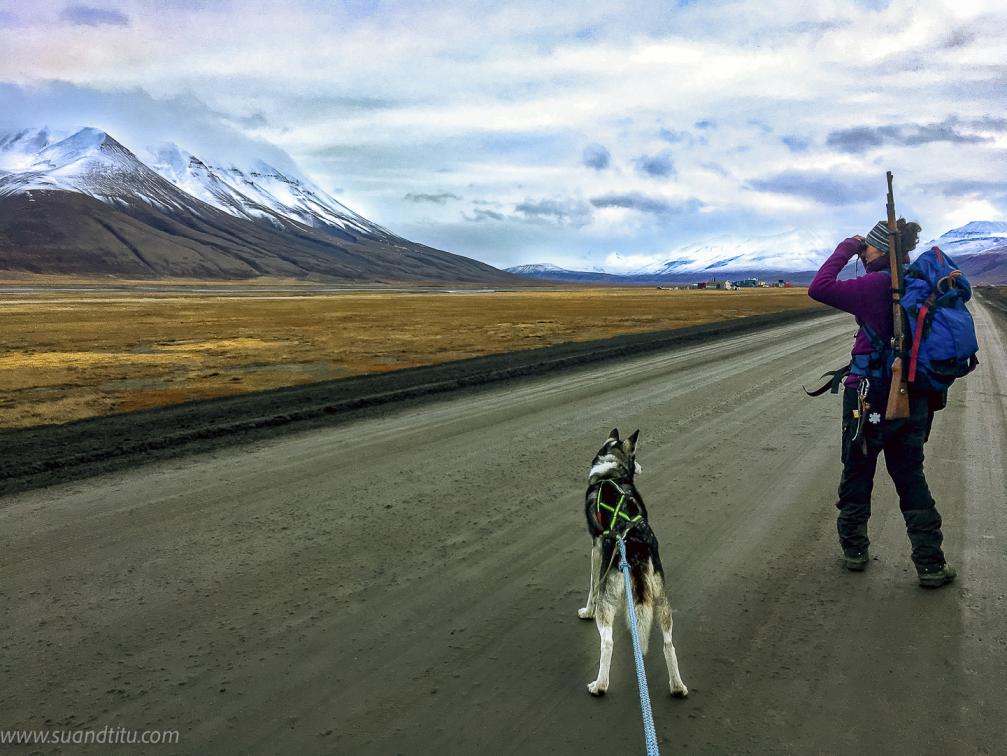 In Svalbard you cannot proceed with a gun
