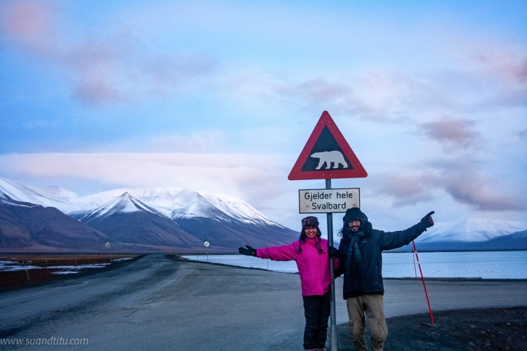 When in polar bear country